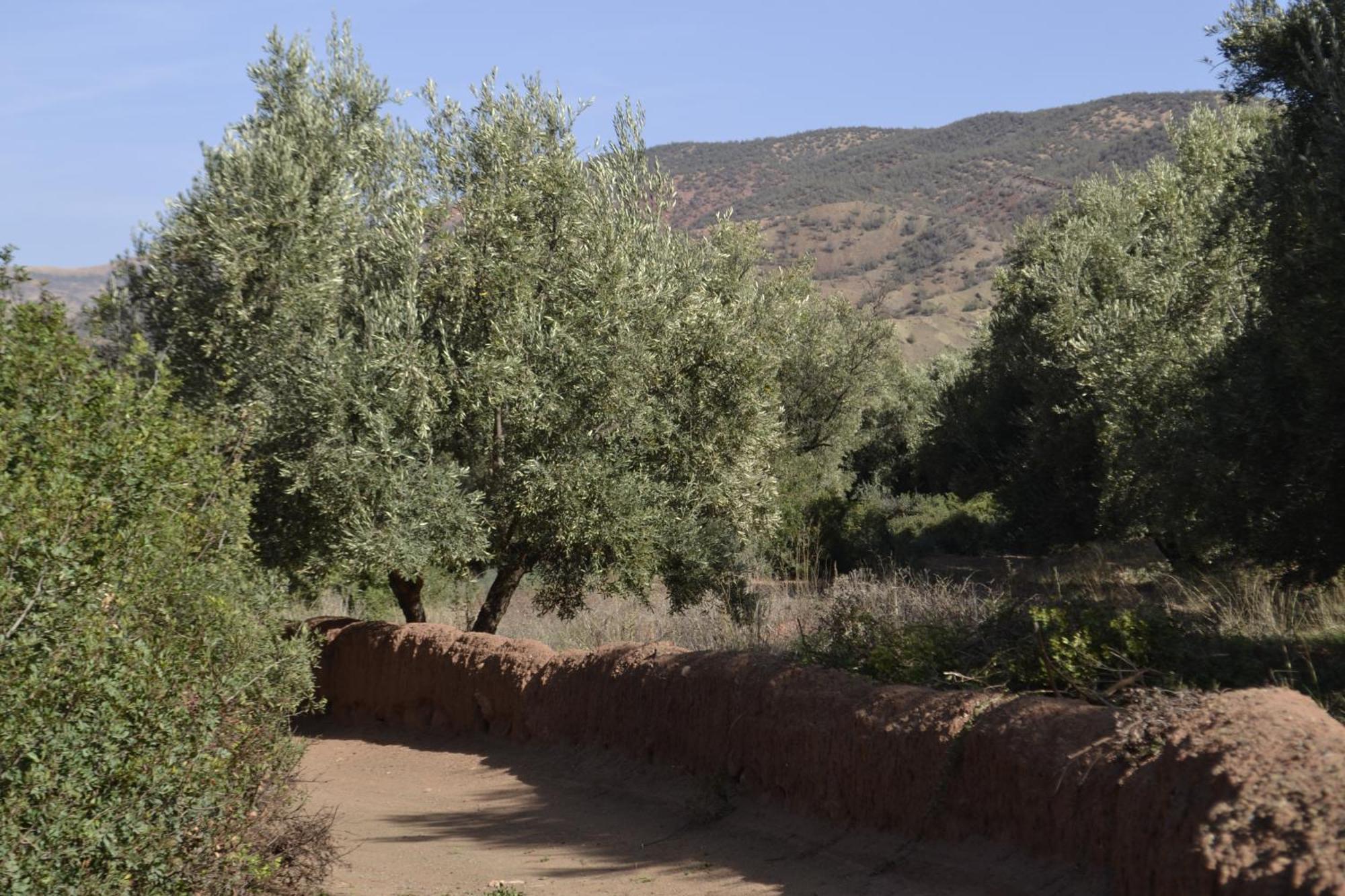 Villa Quince Уирган Экстерьер фото
